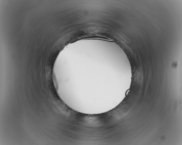 X0000091300283200709071059