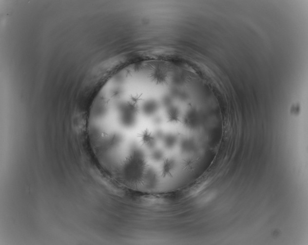 X0000091300284200709071059