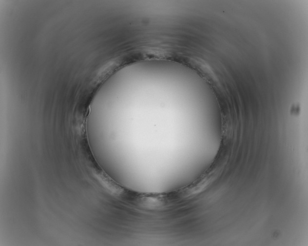 X0000091300285200709071059