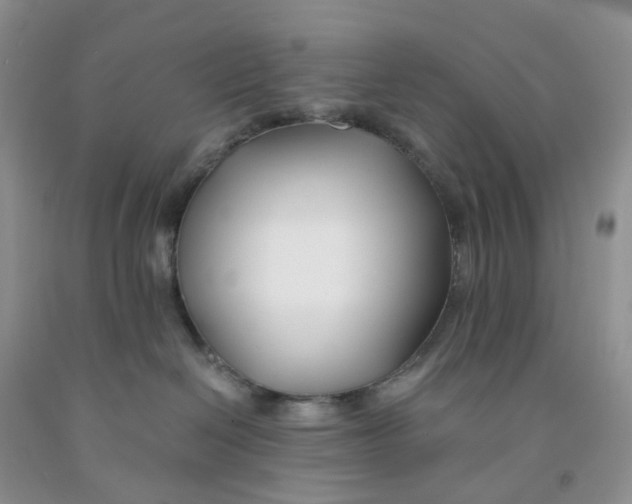 X0000091300286200709071059