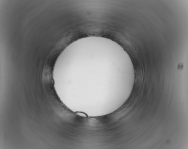 X0000091300287200709071059