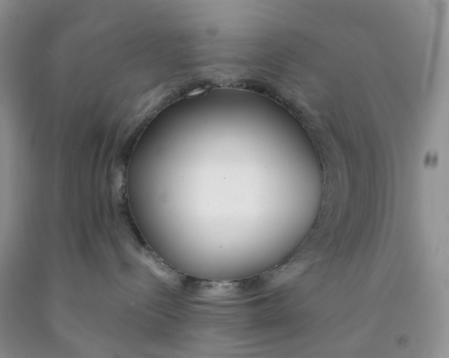 X0000091300288200709071059