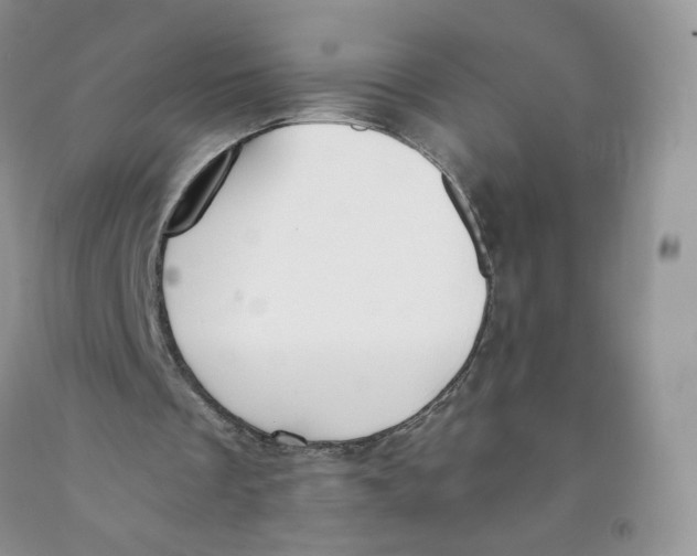 X0000091300289200709071059