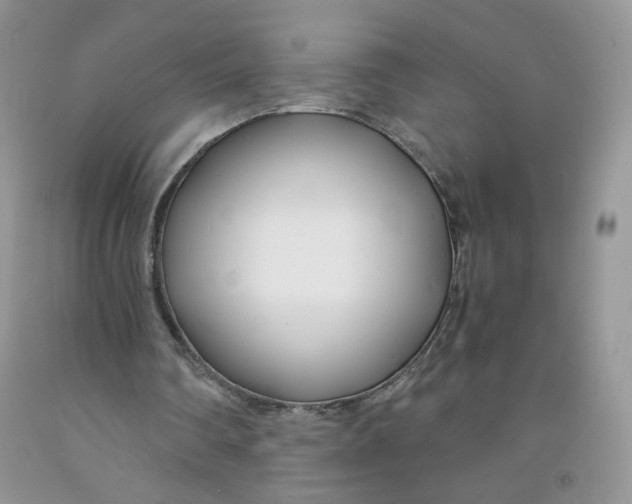 X0000091300290200709071059