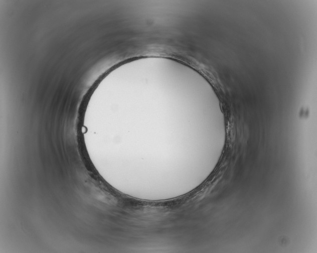 X0000091300292200709071059