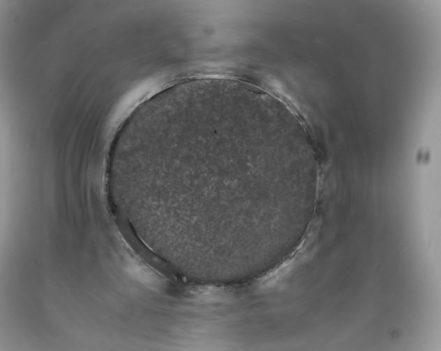 X0000091300293200709071059