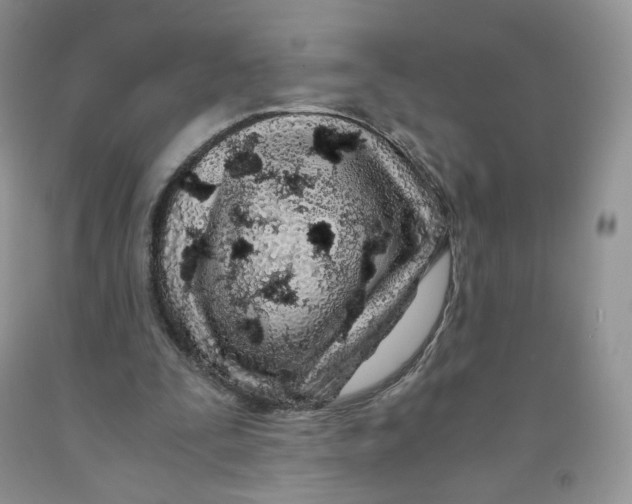 X0000091300295200709071059