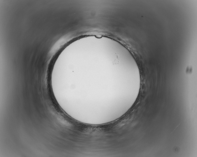 X0000091300296200709071059