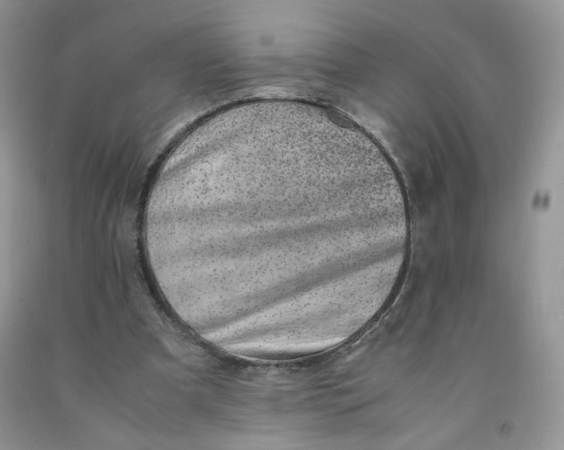 X0000091300297200709071059