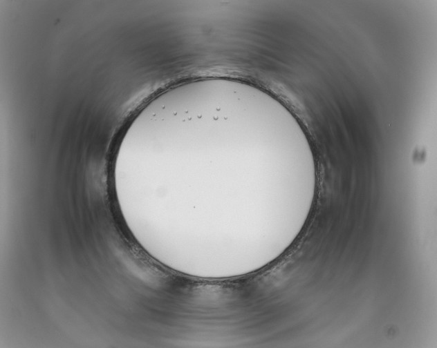 X0000091300298200709071059