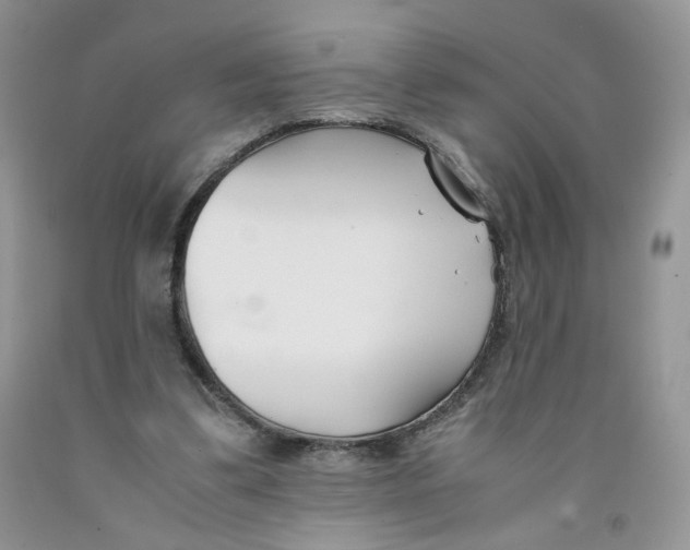 X0000091300299200709071059