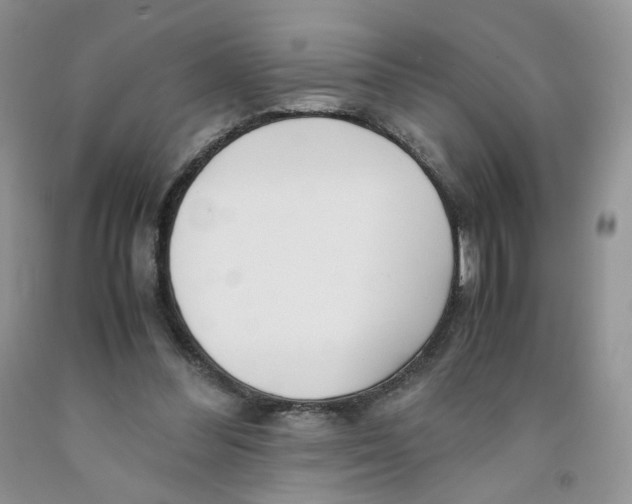 X0000091300300200709071059