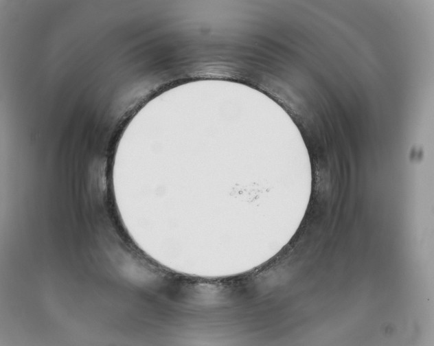 X0000091300302200709071059