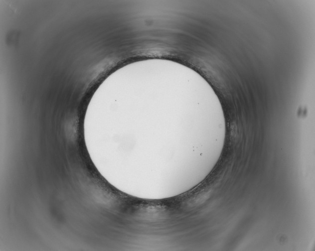 X0000091300304200709071059