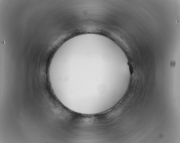 X0000091300306200709071059