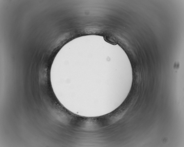 X0000091300308200709071059