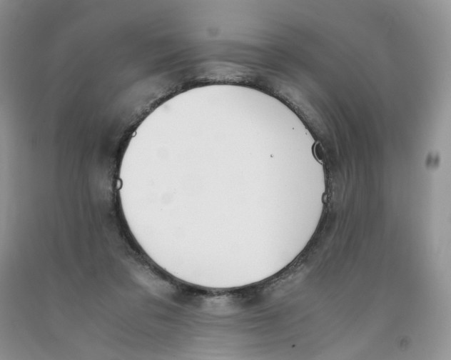 X0000091300309200709071059