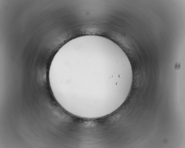 X0000091300310200709071059