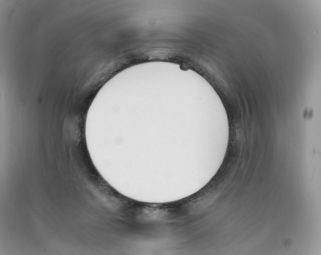 X0000091300311200709071059