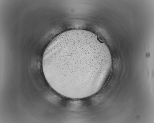 X0000091300313200709071059