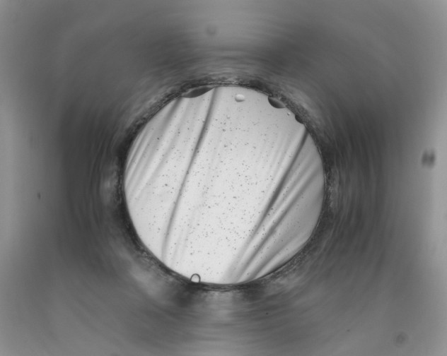 X0000091300314200709071059