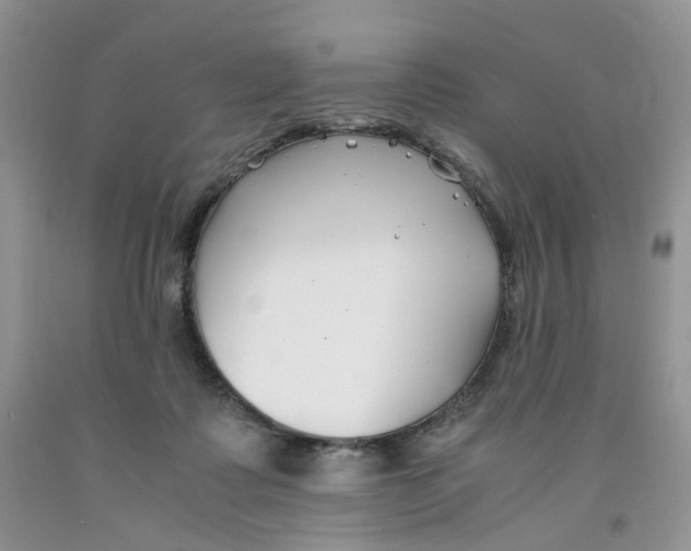 X0000091300315200709071059