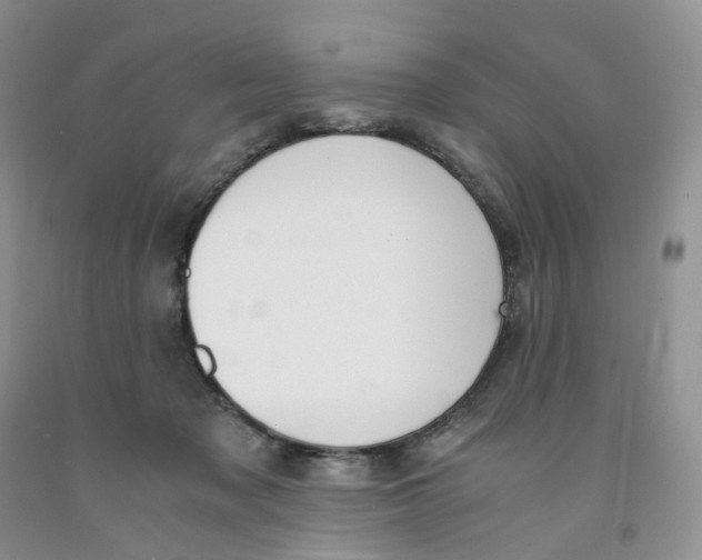 X0000091300317200709071059