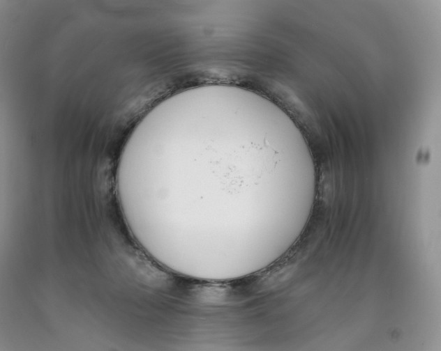 X0000091300318200709071058