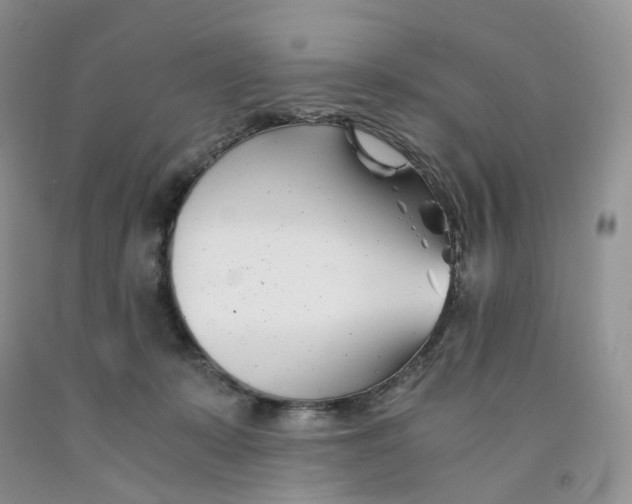 X0000091300319200709071058