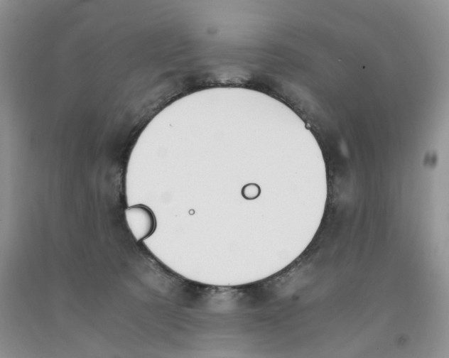 X0000091300321200709071058