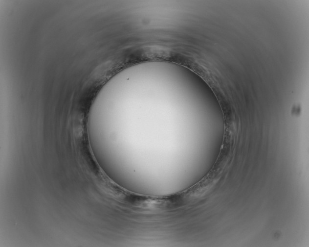 X0000091300323200709071058