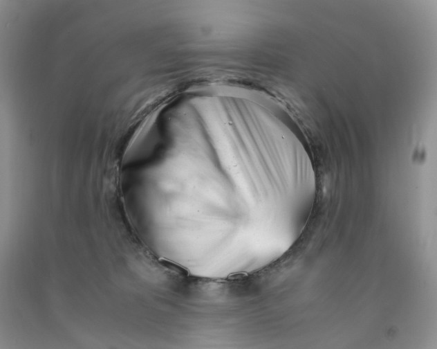 X0000091300325200709071058