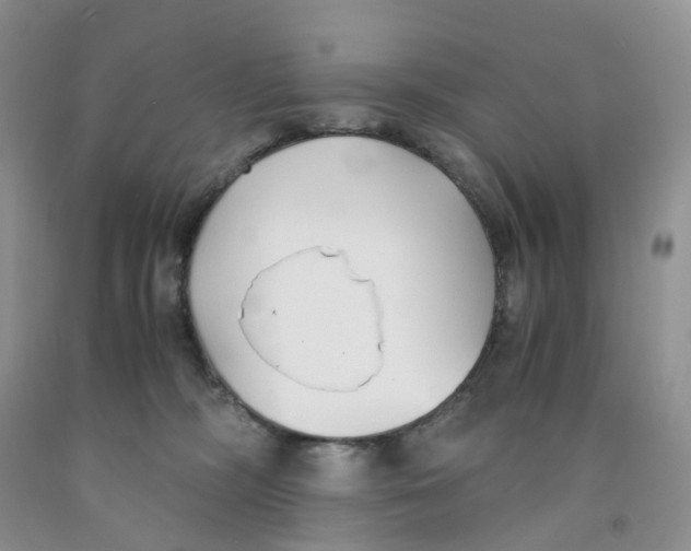 X0000091300326200709071058