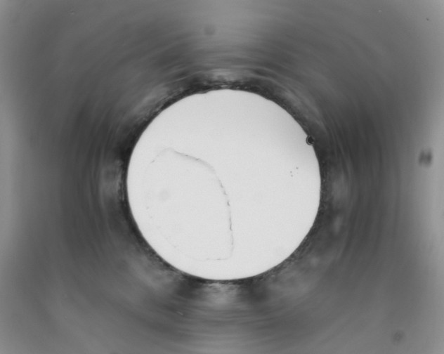 X0000091300328200709071058