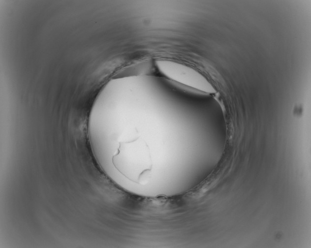 X0000091300329200709071058