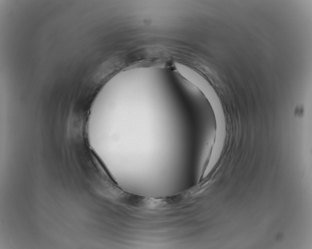 X0000091300333200709071058