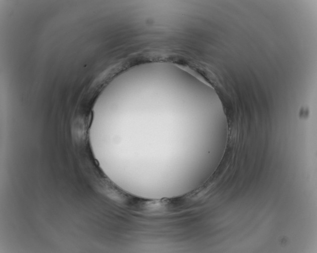 X0000091300335200709071058