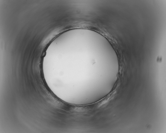 X0000091300341200709071058