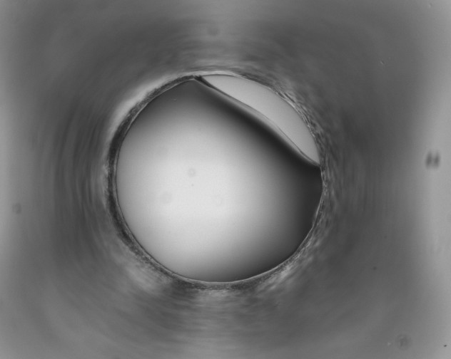 X0000091300342200709071058