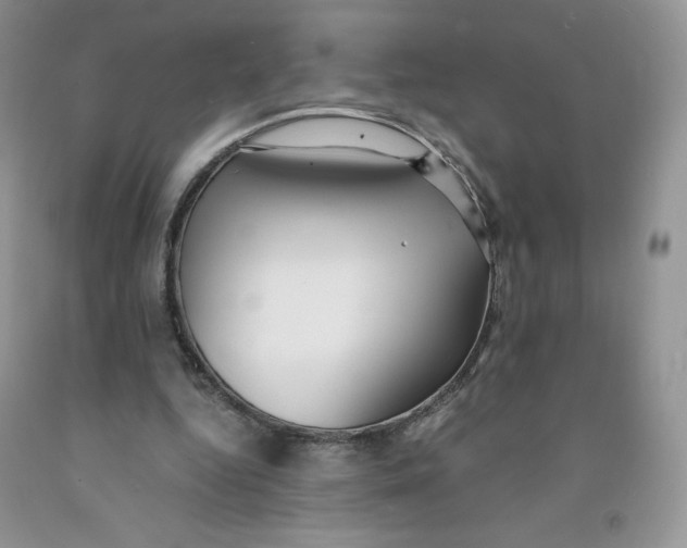 X0000091300344200709071058