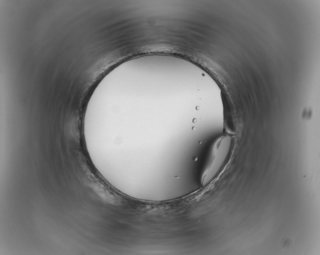 X0000091300345200709071058