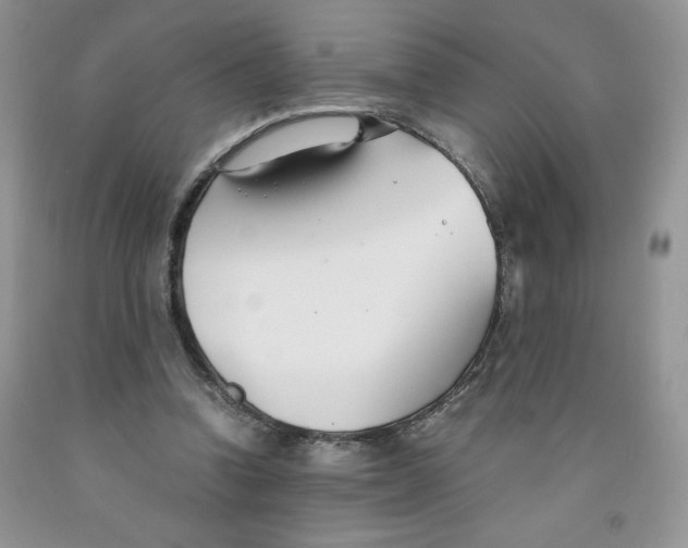 X0000091300346200709071058