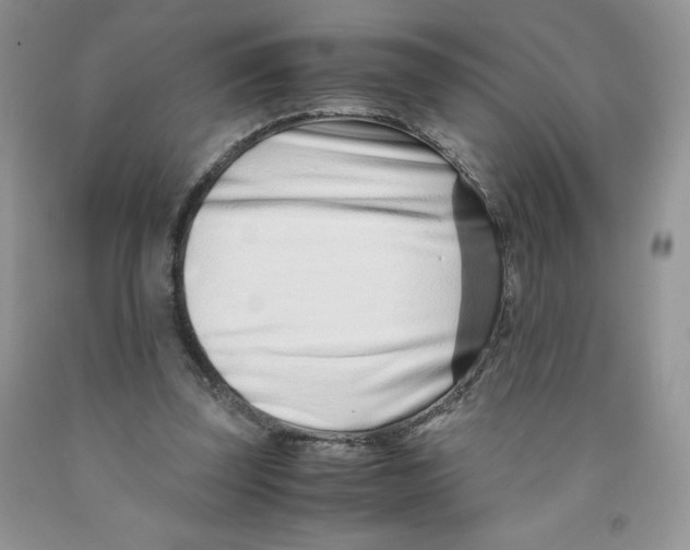 X0000091300347200709071058