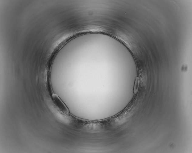 X0000091300350200709071058