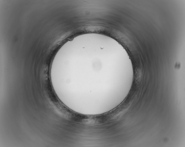 X0000091300356200709071058