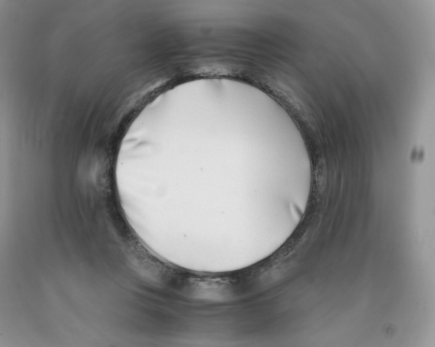 X0000091300359200709071058