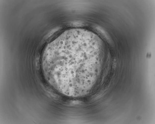 X0000091300360200709071058