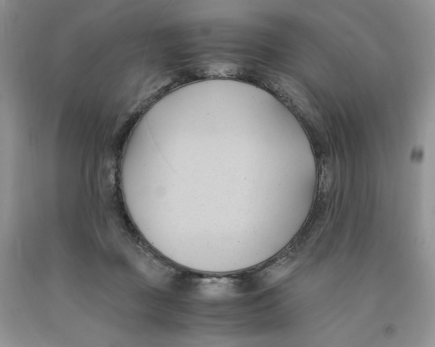 X0000091300363200709071058