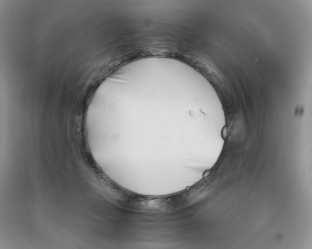 X0000091300365200709071058