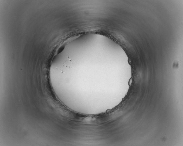 X0000091300366200709071058